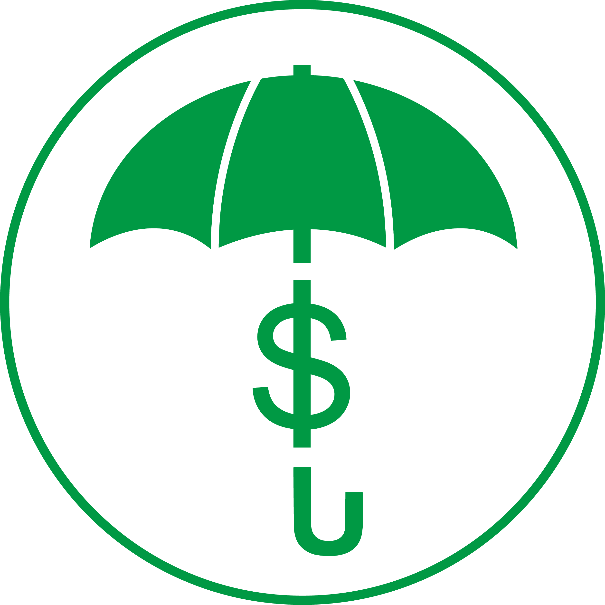 Inflation Protection Icon
